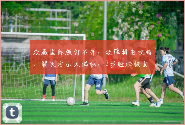 众赢国际版打不开，故障排查攻略，解决方法大揭秘，3步轻松恢复