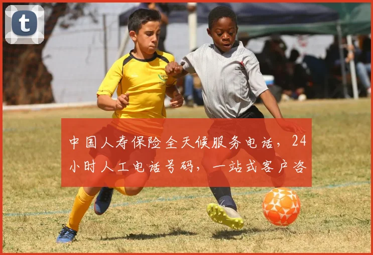 中国人寿保险全天候服务电话，24小时人工电话号码，一站式客户咨询支持，立即拨打