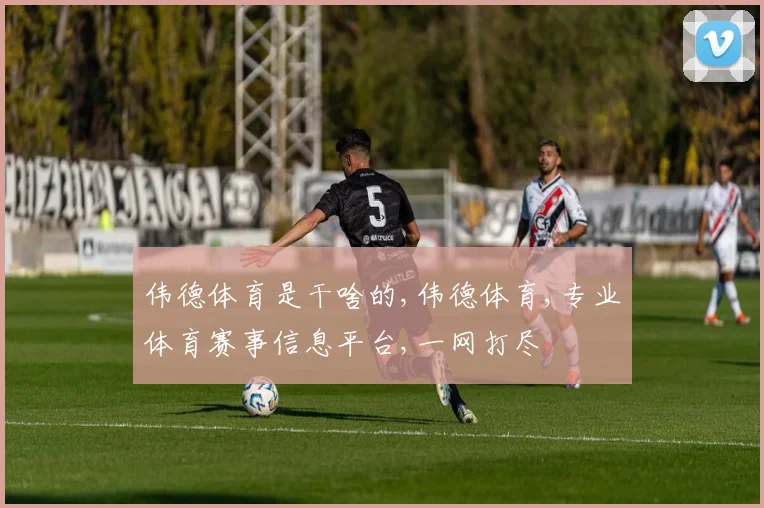 伟德体育是干啥的,伟德体育,专业体育赛事信息平台,一网打尽